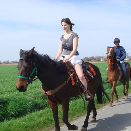 B&B Kanegem Onverbloemd Tielt Bagian luar foto