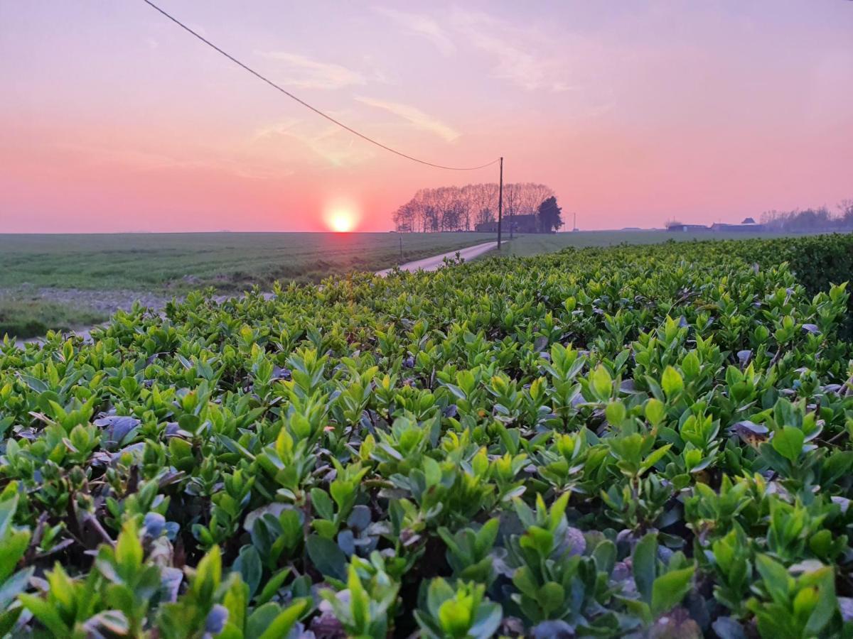 B&B Kanegem Onverbloemd Tielt Bagian luar foto
