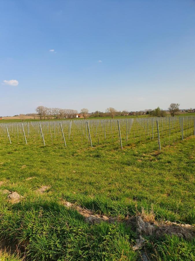 B&B Kanegem Onverbloemd Tielt Bagian luar foto