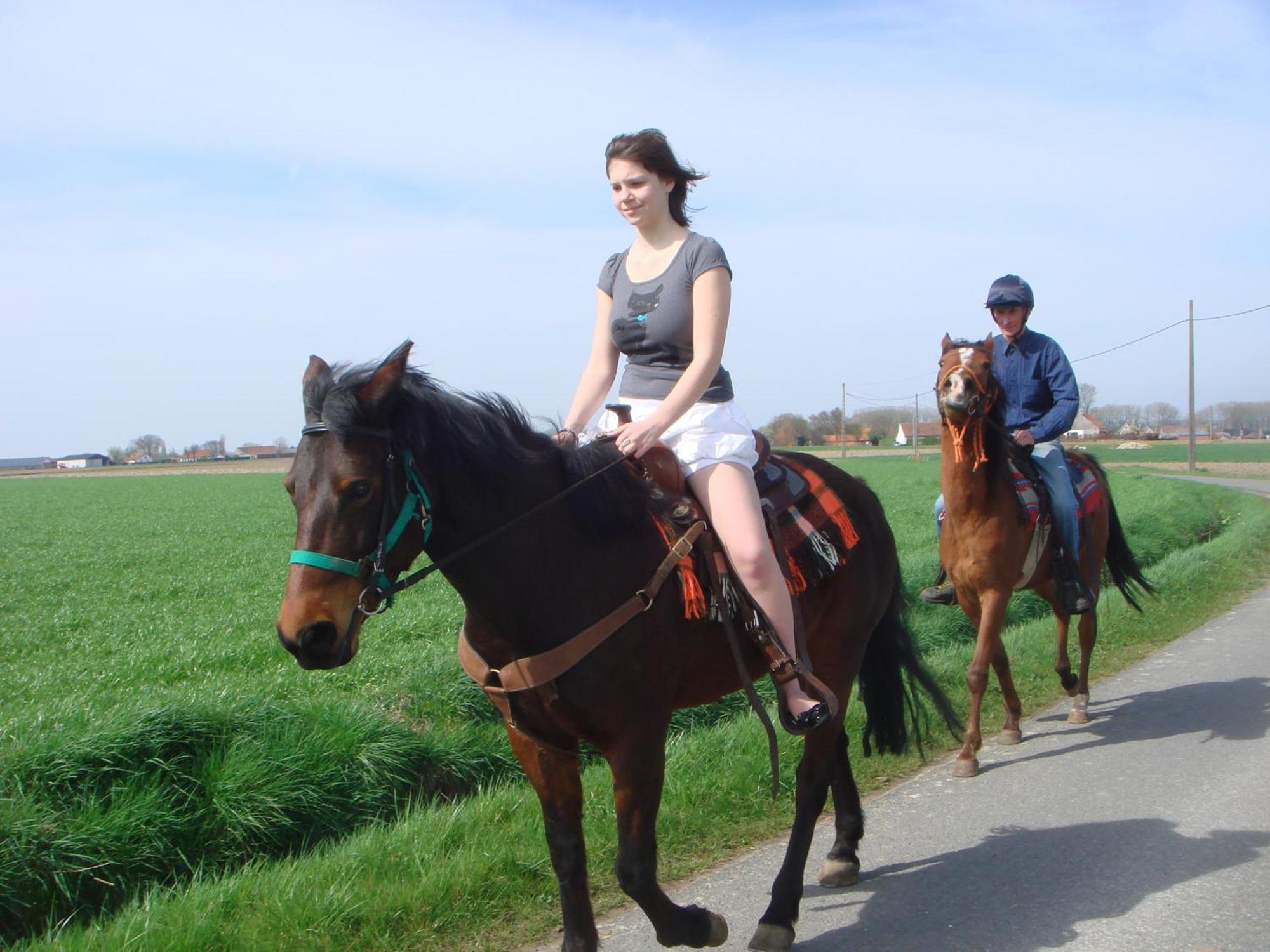 B&B Kanegem Onverbloemd Tielt Bagian luar foto