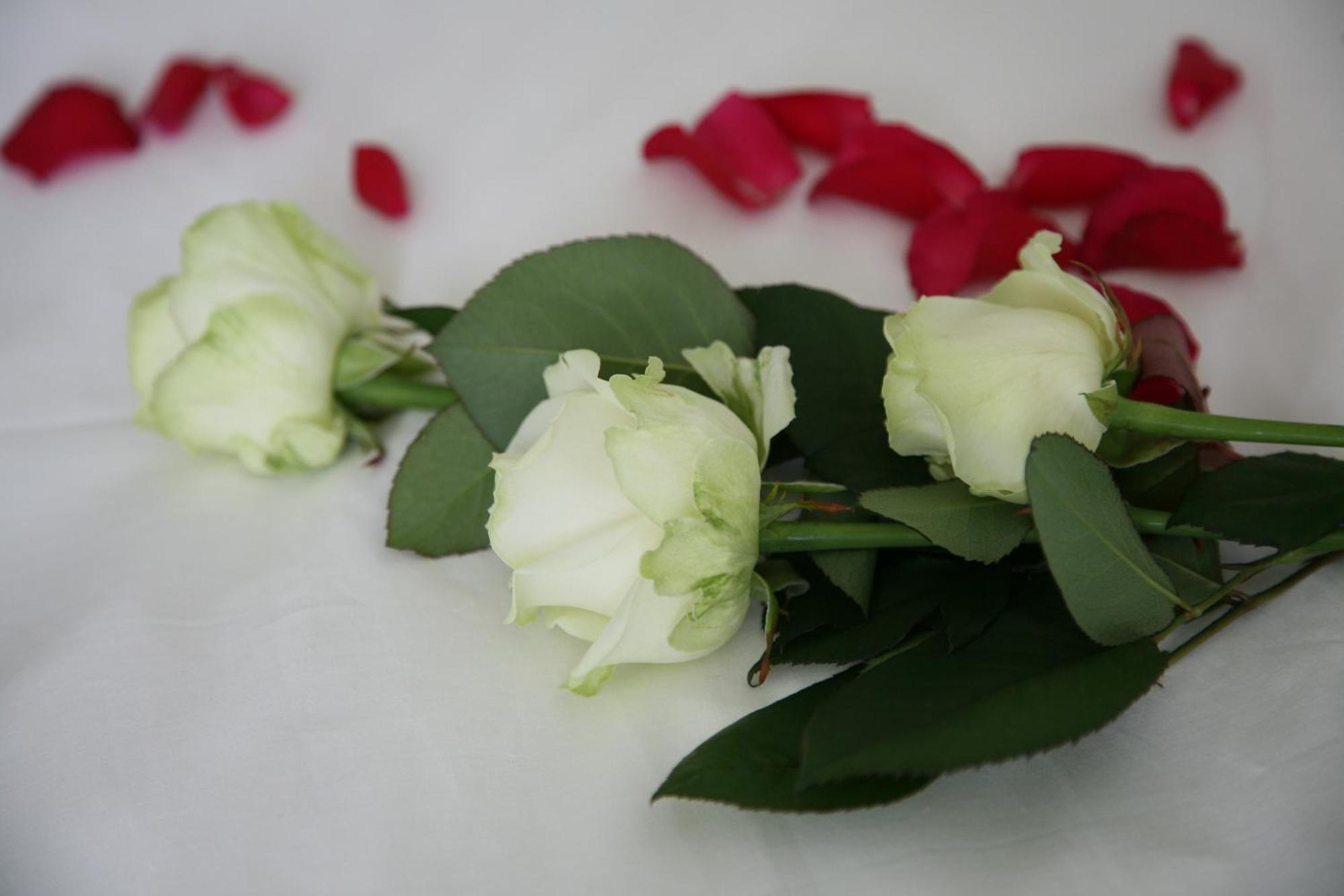 B&B Kanegem Onverbloemd Tielt Bagian luar foto