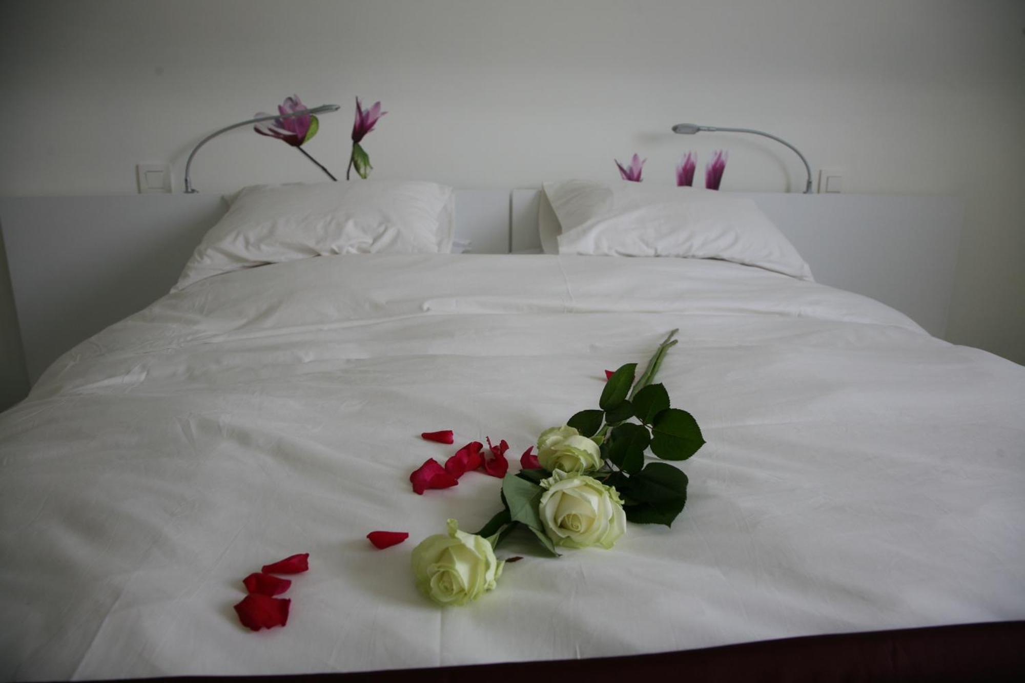 B&B Kanegem Onverbloemd Tielt Bagian luar foto