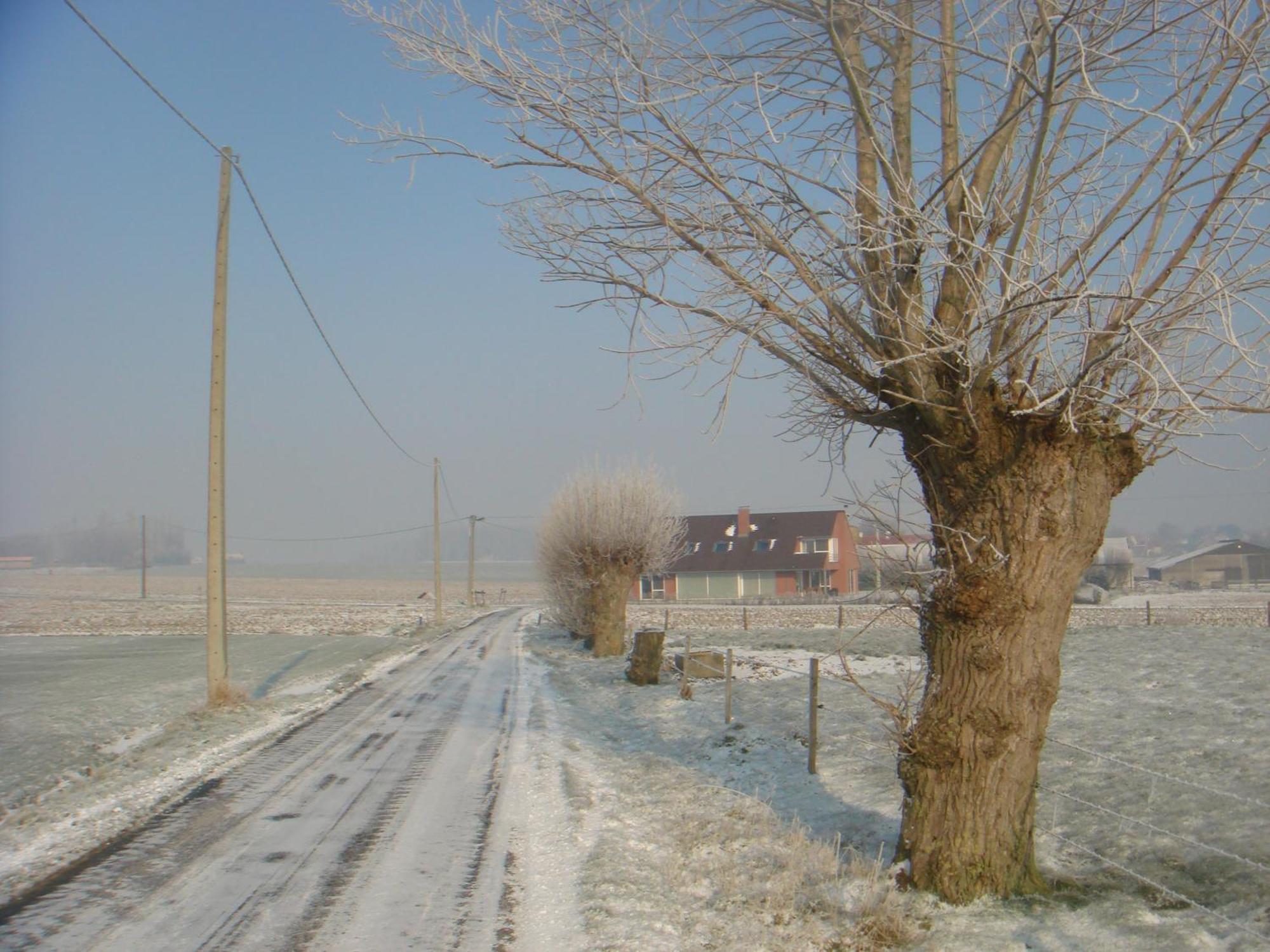B&B Kanegem Onverbloemd Tielt Bagian luar foto